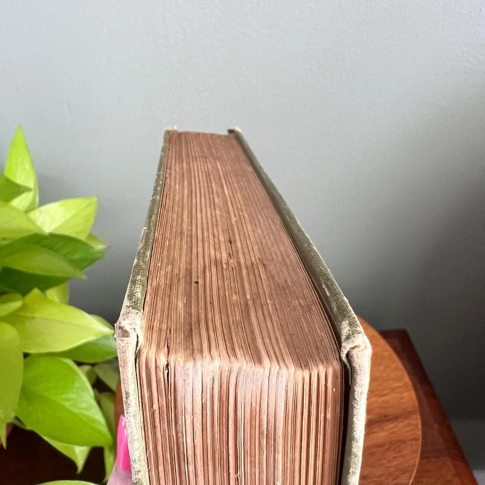 Antique 1902 Book The Strength Of Th Weak By Chauncey C. Hotchkiss 1st Edition - Picture 11 of 11